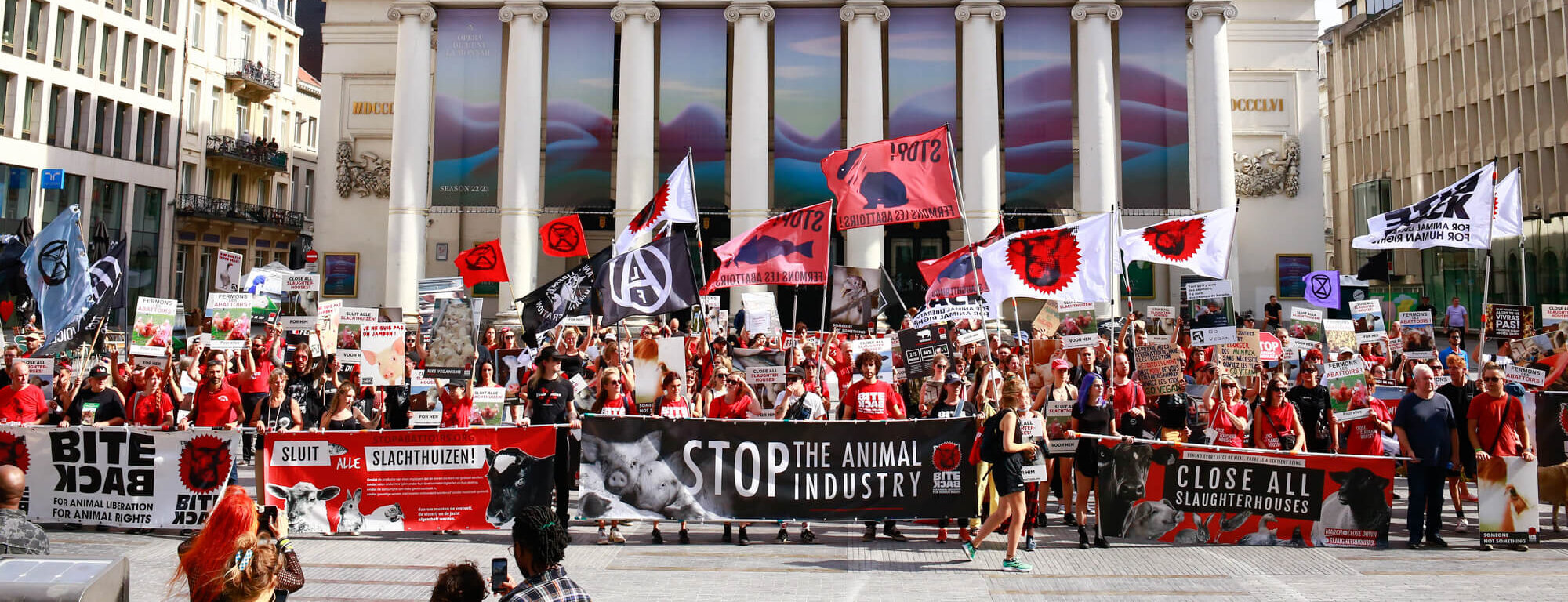 Marche Stop à l’Industrie Animale: info pratique